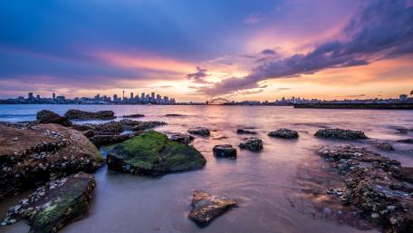Sydney in the distance wallpaper