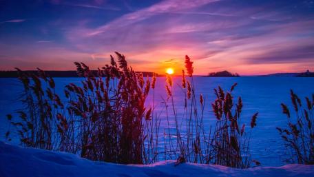 Winter sunset wallpaper