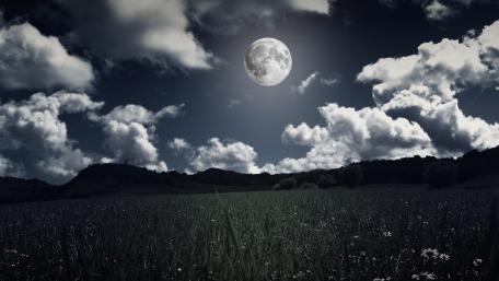 Field in the moonlight wallpaper