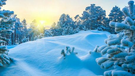 Winter Wonderland with Sunlit Snowy Landscape wallpaper