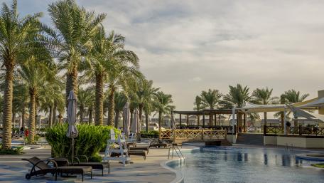 Bahrain palm trees wallpaper