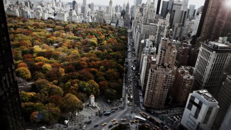 Manhattan's skyscrapers and the Central Park wallpaper
