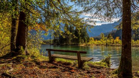 Bench at the riverside wallpaper