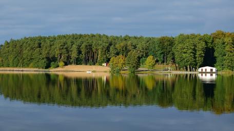 Serene Forest Reflection on Tranquil Lake Water wallpaper