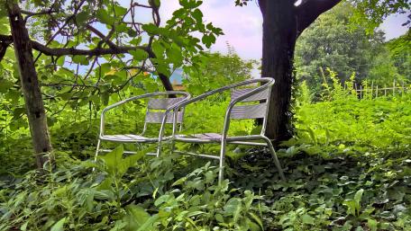 Serene Outdoor Chairs Nestled in Greenery wallpaper