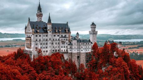 Red autumn trees around Neuschwanstein Castle wallpaper