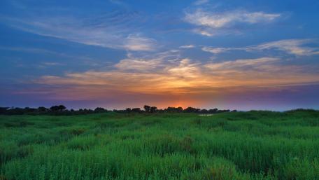 Sunset over the field wallpaper