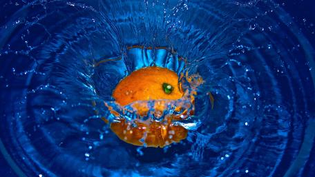 Orange in the water wallpaper
