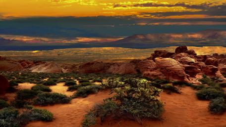 Desert Sunset Serenity wallpaper