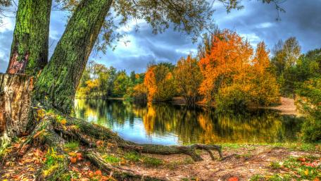 Autumn Serenity by the Riverside wallpaper