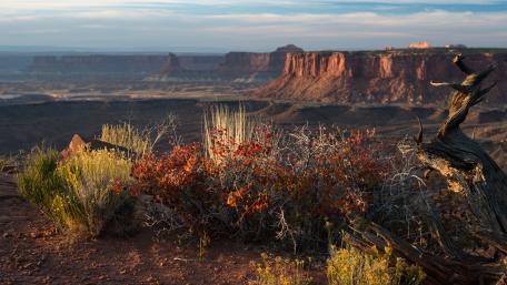 Desert Oasis: Sunset Over Canyonlands Wilderness wallpaper
