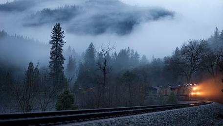 Misty Train Journey Through a Foggy Forest wallpaper