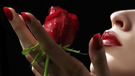 Rose flower wallpaper