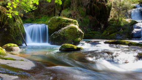 Serene Forest Waterfall wallpaper