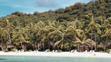 Tropical Paradise by the Shore wallpaper
