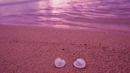 Beach wallpaper