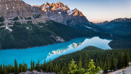 Peyto Lake (Canada) wallpaper