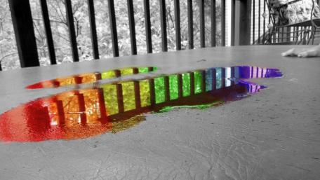 Vivid Reflection on a Monochrome Canvas wallpaper