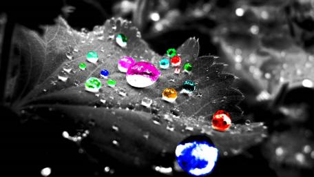 Vibrant Raindrops on Leaf Surface wallpaper