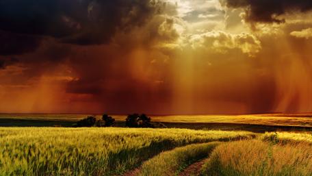 Serene Prairie Path Under Dramatic Skies wallpaper