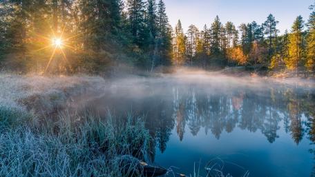 Frosty morning at the river wallpaper