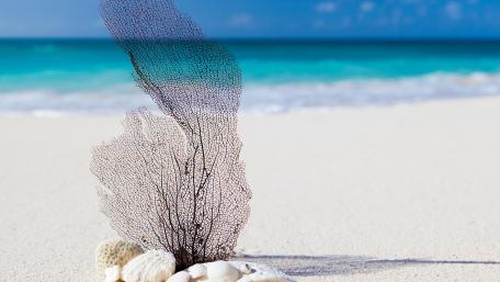 Decoration on the sandy beach wallpaper