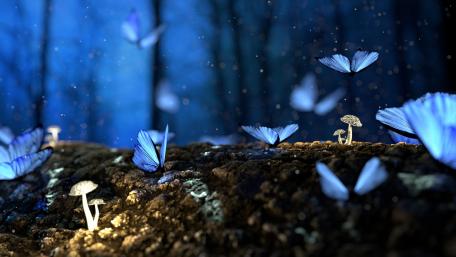Blue butterflies wallpaper