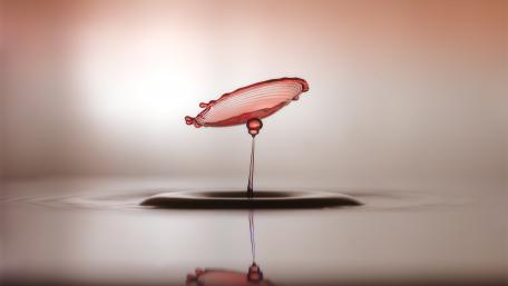 Red waterdrop wallpaper
