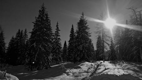 Black and white wallpaper