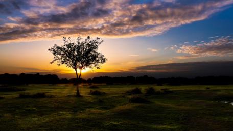 Fritham landscape wallpaper