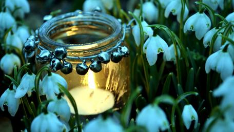Gentle Candlelight Among Snowdrops Softly Illuminates Nature's Beauty wallpaper