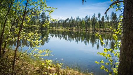Serene River Under a Clear Blue Sky wallpaper
