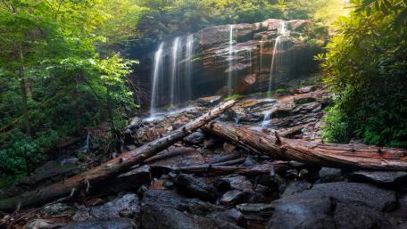 Serene Waterfall Amidst Lush Wilderness wallpaper