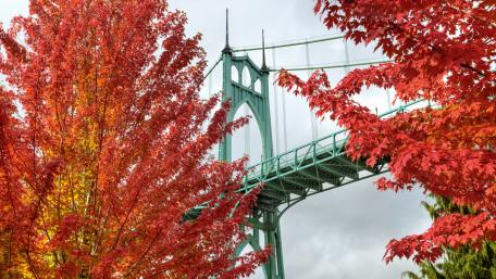 St. Johns Bridge from Cathedral Park Trail wallpaper