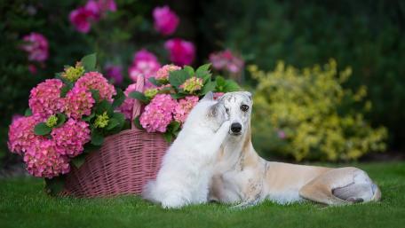 Adorable Friends in a Floral Paradise wallpaper