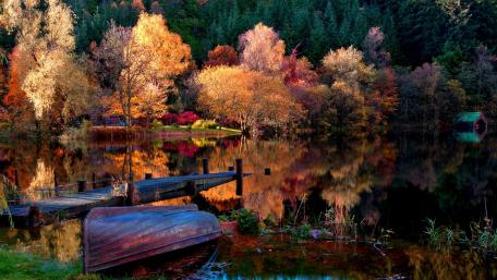 Autumn Serenity Over the Water wallpaper