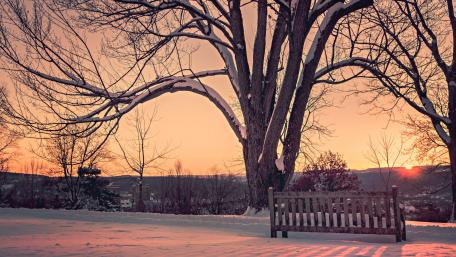 Bench to sunset watching wallpaper