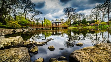 Serene Reflections in a Tranquil Park Landscape wallpaper