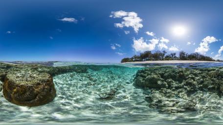 Lady Elliot Island reef wallpaper