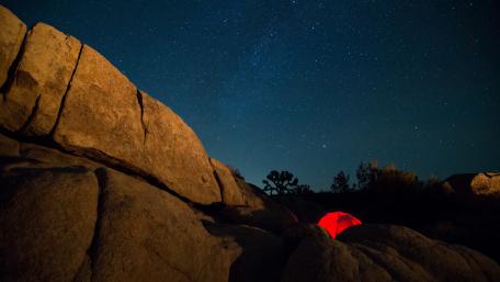 Joshua Tree National Park under the starry sky wallpaper