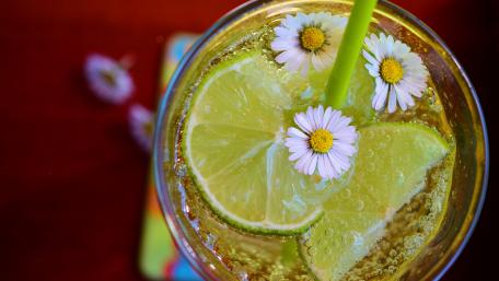 Camomile lemonade wallpaper