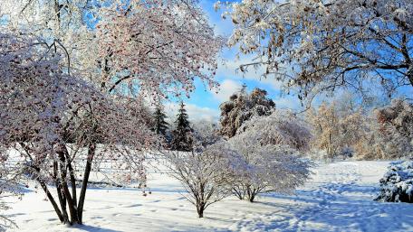 Snowy nature landscape wallpaper