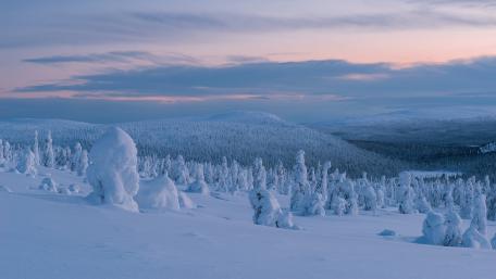 Snowy landscape wallpaper