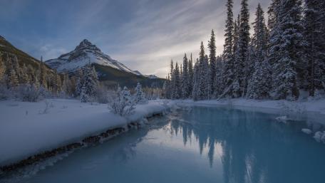 Peyto Lake, Banff wallpaper