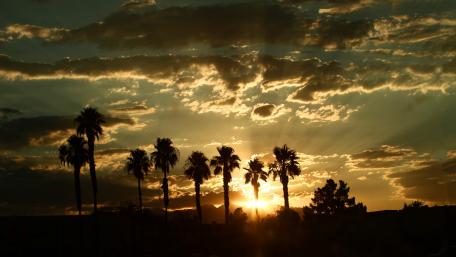 Amazing tropical sundown wallpaper