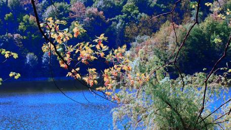 Autumn River Serenity Wallpaper wallpaper