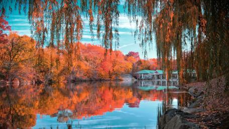 The Loeb Boathouse (Central Park) wallpaper