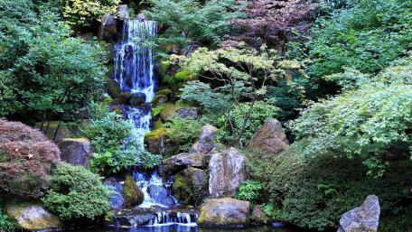Washington Park, Japanese Garden wallpaper
