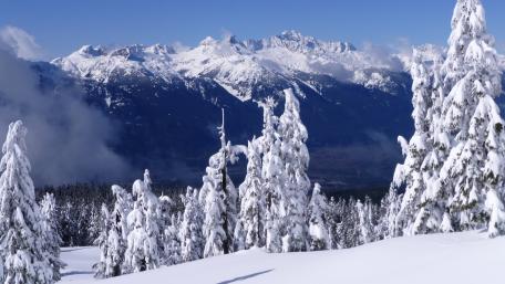 Majestic Winter Wonderland Scene wallpaper