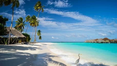 Sandy beach in Maldives wallpaper